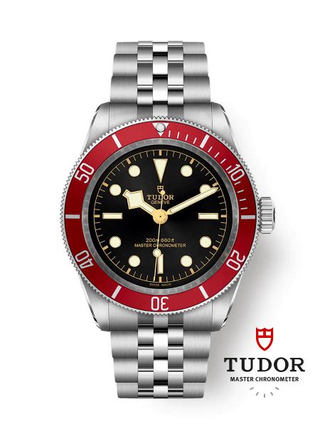 oroggi tudor|tudor watch official website.